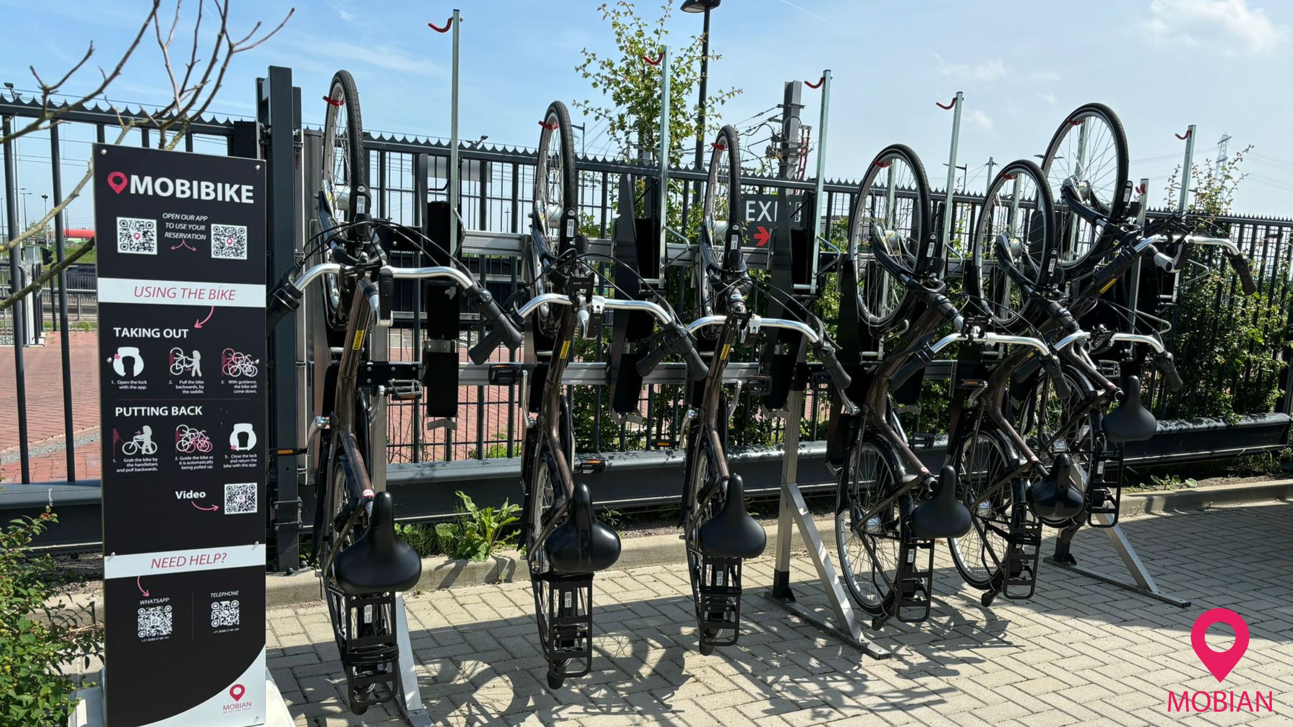 carousel-image-11